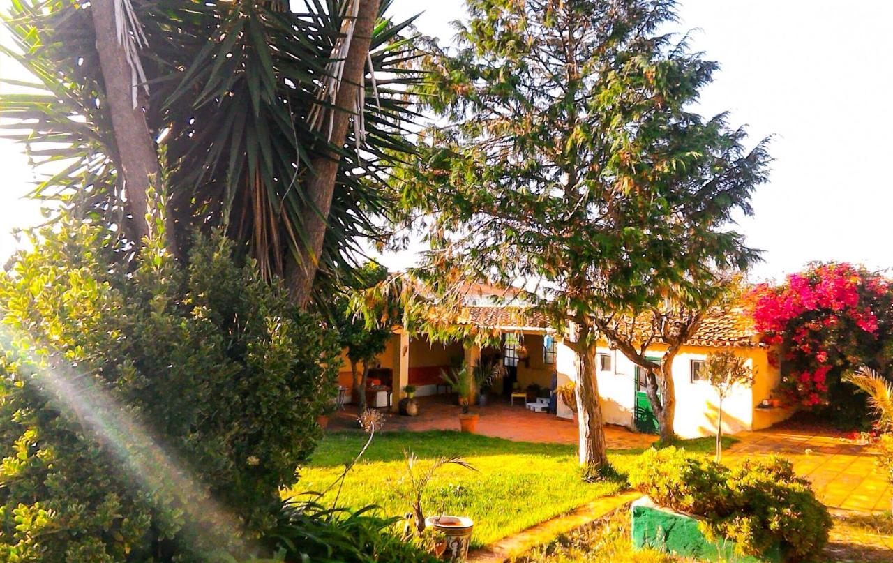 Alojamento de Acomodação e Pequeno-almoço Lugar Saloio Mem Martins
